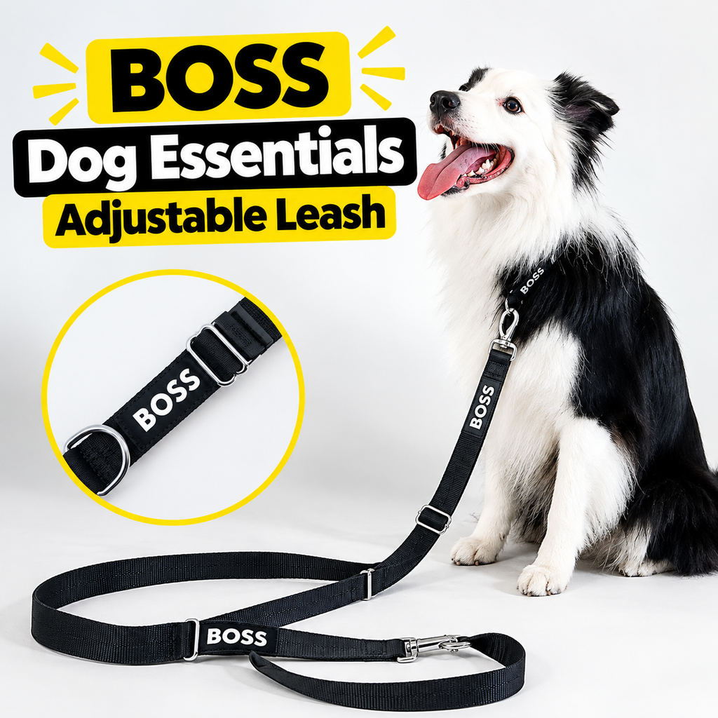 Image showing BOSS Dog Essentials Adjustable Leash been used for a dog,.