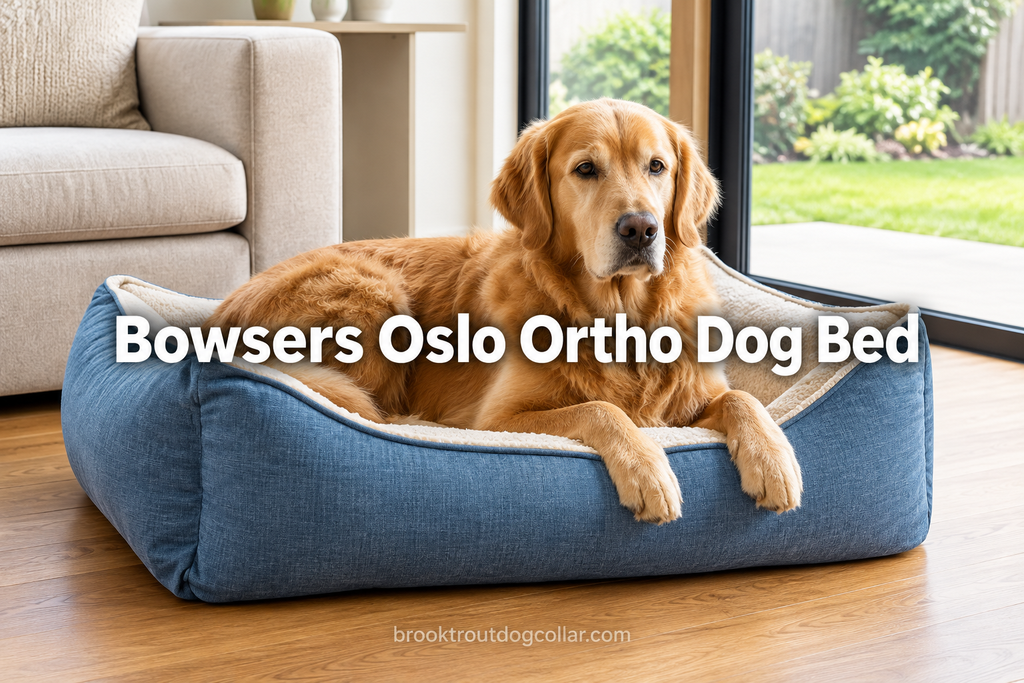 Bowsers Oslo Ortho Dog Bed