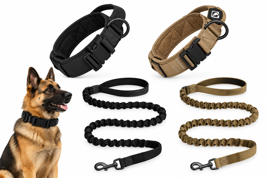 Brook Trout Dog Collars for Outdoor Adventures
