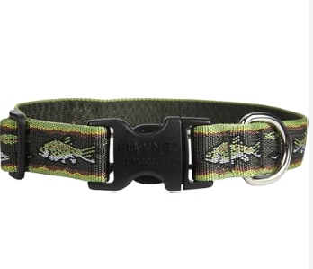 Medium Dogs brooktrout dog collar