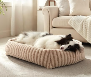 29 by 23 inches Bowsers Oslo Ortho Dog Bed