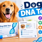 Dog DNA Test