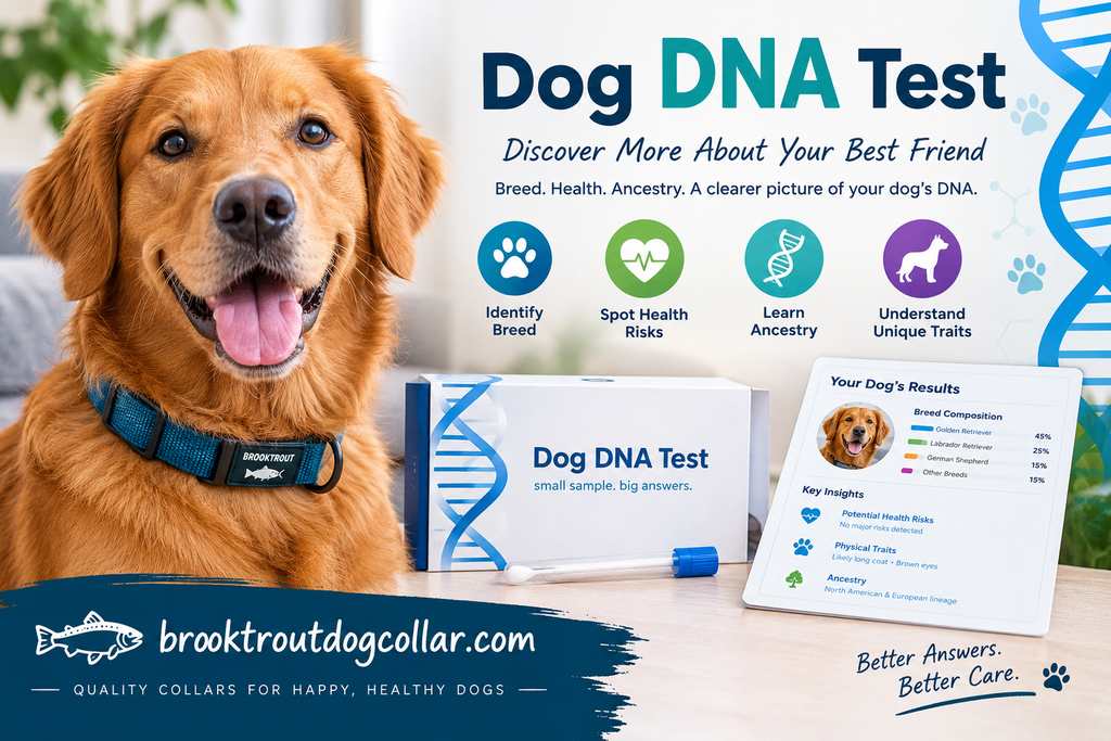 Image showing Dog DNA Test