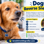 Dog Reverse Coughing and Sneezing